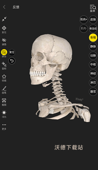 3Dbody解剖app_生活实用_第4张_沃德下载站 3Dbody解剖app_https://m.wordpress6.com_生活实用_第4张