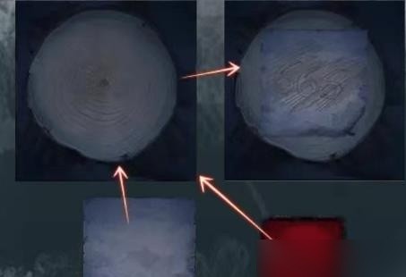如月车站下载_模拟经营_第7张_沃德下载站 如月车站下载_https://www.wordpress6.com_模拟经营_第7张