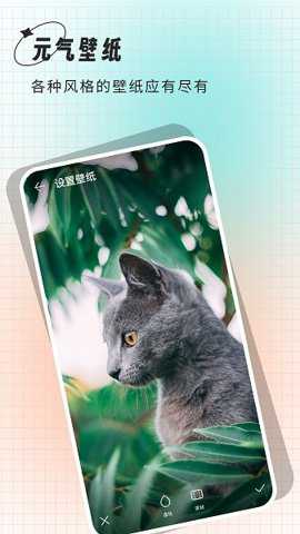 克拉壁纸下载_https://m.wordpress6.com_手机美化_第2张