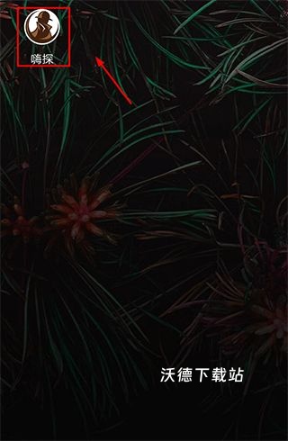 嗨探app_通讯社交_第1张_沃德下载站 嗨探app_https://www.wordpress6.com_通讯社交_第1张