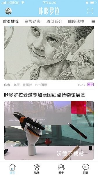 咔哆罗拉_https://www.wordpress6.com_摄影图像_第3张