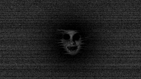 诡异森林_动作冒险_第1张_沃德下载站 诡异森林_https://www.wordpress6.com_动作冒险_第1张