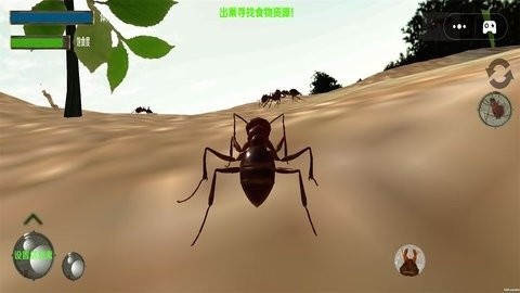 蚂蚁生存模拟器_模拟经营_第1张_沃德下载站 蚂蚁生存模拟器_https://www.wordpress6.com_模拟经营_第1张