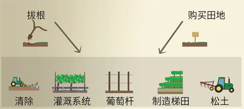 酿造物语汉化版游戏_模拟经营_第2张_沃德下载站 酿造物语汉化版游戏_https://www.wordpress6.com_模拟经营_第2张