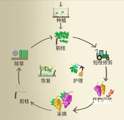 酿造物语汉化版游戏_模拟经营_第3张_沃德下载站 酿造物语汉化版游戏_https://www.wordpress6.com_模拟经营_第3张